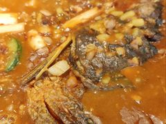 -有红鸡毛店·川菜(建设路店)