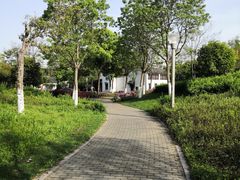 -尚贤河湿地