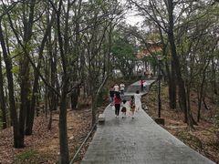 -红花山公园