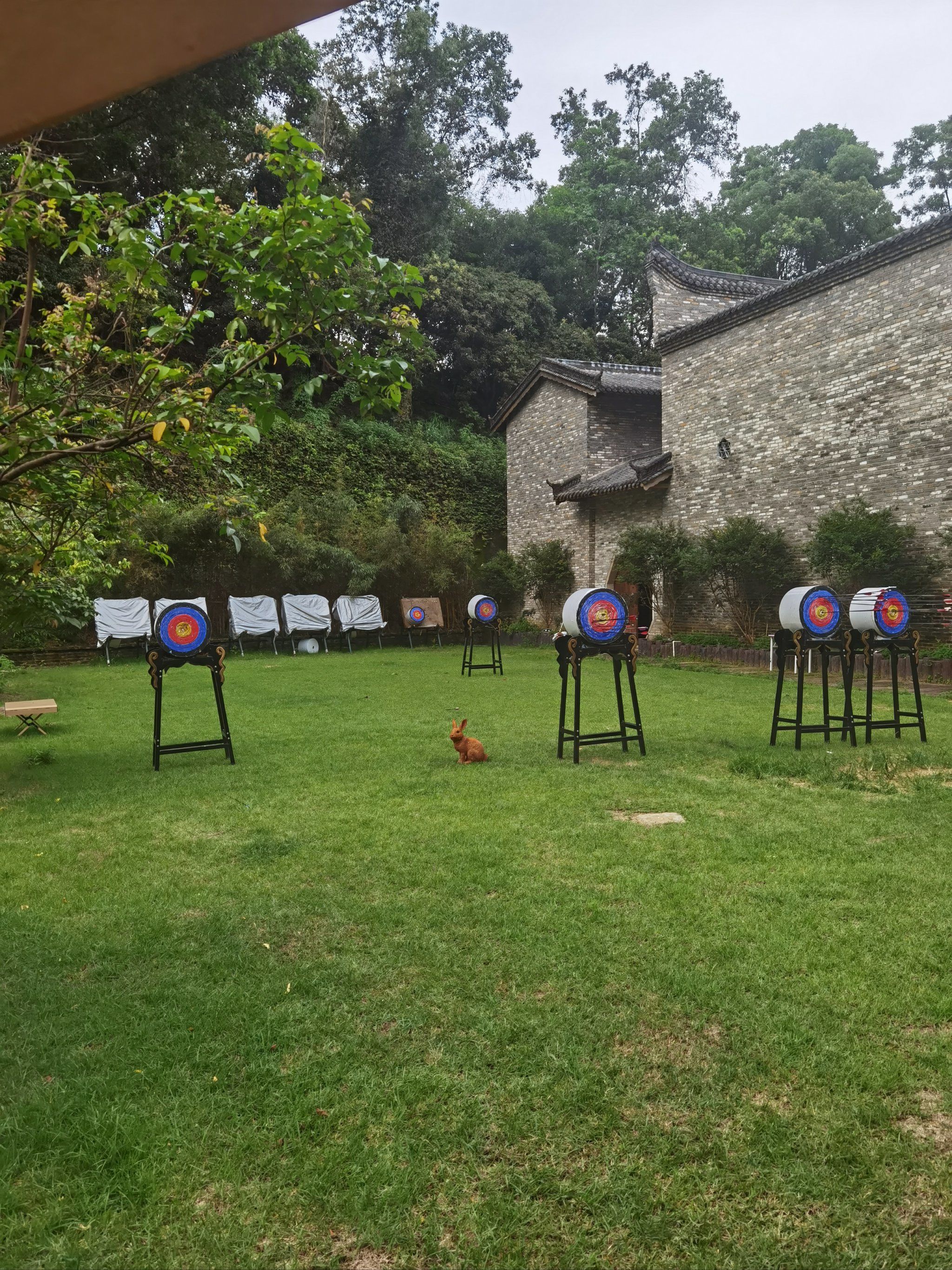 户外射箭风景这边独好