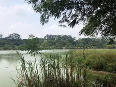 -广西壮族自治区药用植物园