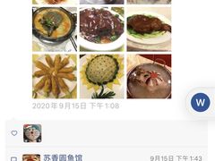 -丁老爷子苏香圆