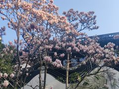 -豫园