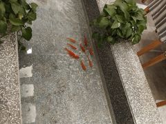 -赶海部落海鲜城(海阳路店)