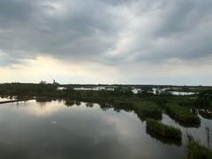 景点-盐城丹顶鹤湿地生态旅游区