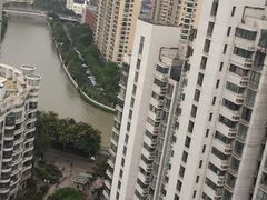 -新湖明珠城