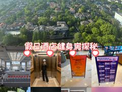 -上海浦东康桥绿地假日酒店