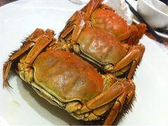 大闸蟹-稻香酒家·33年老字号·港式粤菜(富邦中心店)