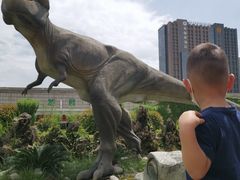 -陕西自然博物馆