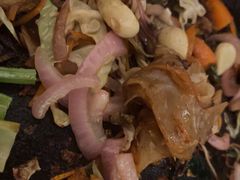 -美食美客土烙锅店·老字号