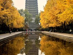 -玲珑塔公园