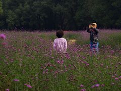 -共青国家森林公园-售票处