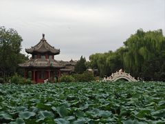 -莲池书院博物馆
