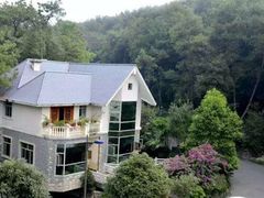 -铁山坪森林公园