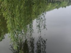 -小镇影院迪士尼小熊Duffy与他的朋友合影地