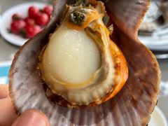 -大锅强·蒸海鲜青岛菜(吾悦广场店)