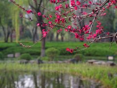 -木塔寺遗址生态公园
