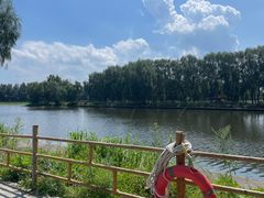-白渔泡湿地公园