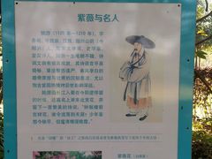 -武汉紫薇都市田园