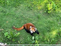 -沈阳森林动物园