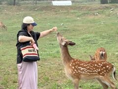 -大连森林动物园