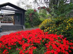 -二荆条·蜀鲜汇城市森林火锅