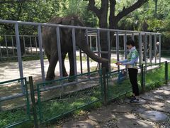 -西安秦岭野生动物园