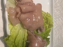 -丁老爷子苏香圆