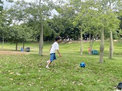 -风云岭森林公园