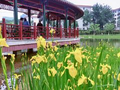 -西海子公园