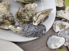 -鑫鸿达·海鲜闽菜热炒小馆(中山路店)