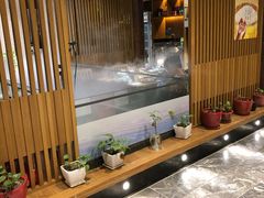 -割烹旭日本料理(龙湖狮山天街店)