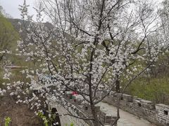 -雁门关景区