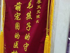 -宠爱国际动物医院·消化内科·心肾内科·ISFM猫友好(望京店)