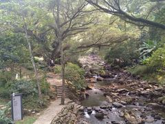 -广州市石门国家森林公园