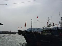 -青岛沙子口国家中心渔港