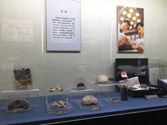 -上海公安博物馆