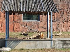 -无锡动物园·太湖欢乐园