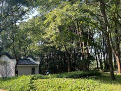 -东湖落雁景区