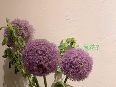 -竹子咖啡bamboo coffee
