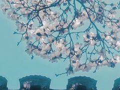 -秋霞圃