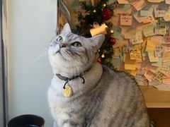 -H立方实景剧情密室(天河旗舰店)