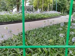 -海珠湖公园