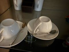 -河源万绿湖美思威尔顿酒店