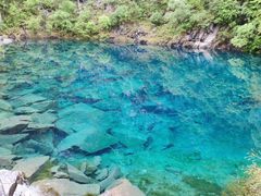 -叠溪松坪沟景区