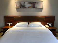 -南京国际博览中心酒店