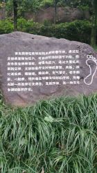 点击看大图 -亦美瑜伽·普拉提