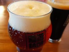 -麦落精酿啤酒餐吧(先农大院店)