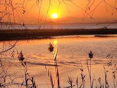 -野鸭湖国家湿地公园