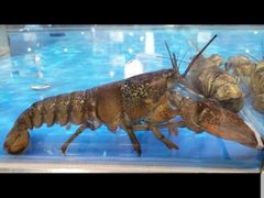 -神农美特好生鲜超市(康宁街店)